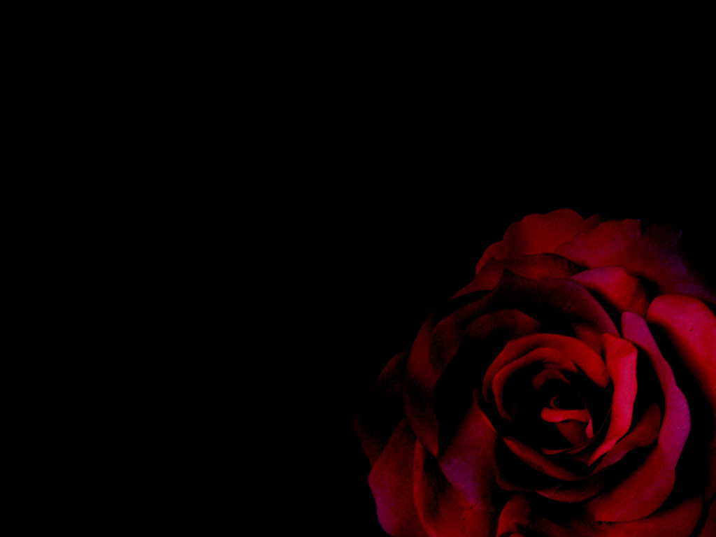 Gothic Wallpapers - Download Free Gothic Rose Wallpapers, Photos, Pictures  and Backgrounds