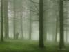 Death Whispered a Lullaby