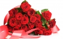 Rose 37