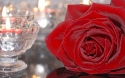 Rose 9