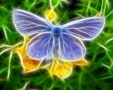 Digital 3D Art Butterfly